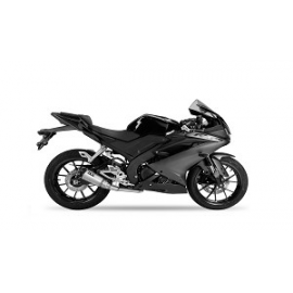 YZF-R 125 21-24 (RE40)