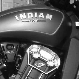 INDIAN