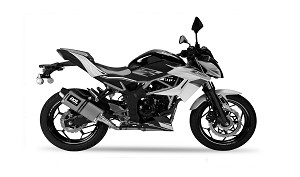 Z 125 - NINJA 125 19-26 (BR125 - BX125)