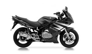 GS 500 F 04-10 (WVBK)