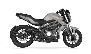 BJ 300 GS - BN 302 (P10)