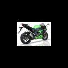 IXIL SLIP ON L2X DUAL HYPERLOW exhaust pipe for KAWASAKI ZX 636 R