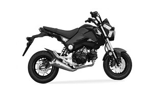MSX 125 / GROOM 125 13-19